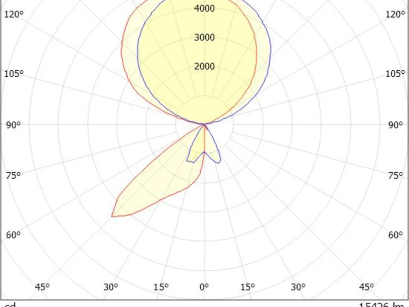 CONCEPT DOUBLE F