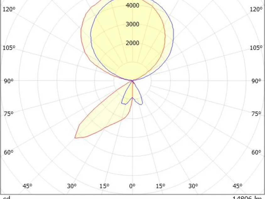 CONCEPT DOUBLE F