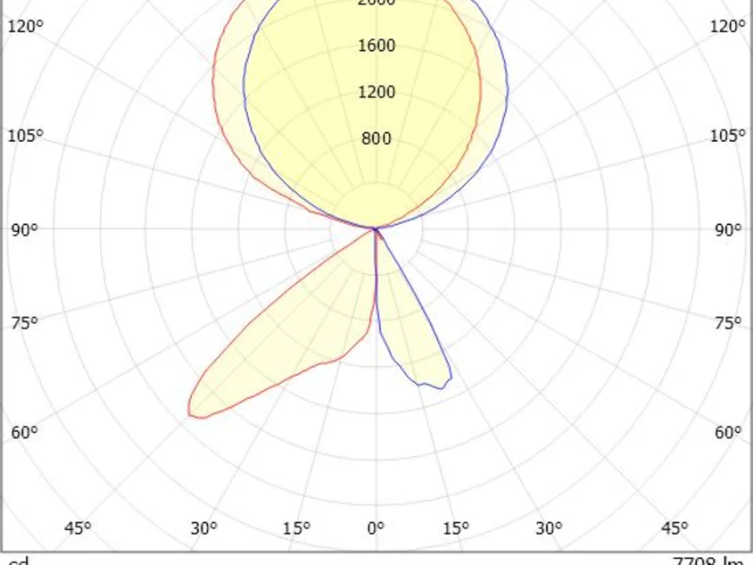CONCEPT LEFT F