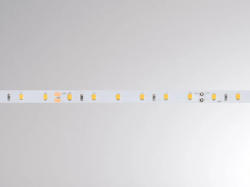 BASIC LED STRIPE IP20