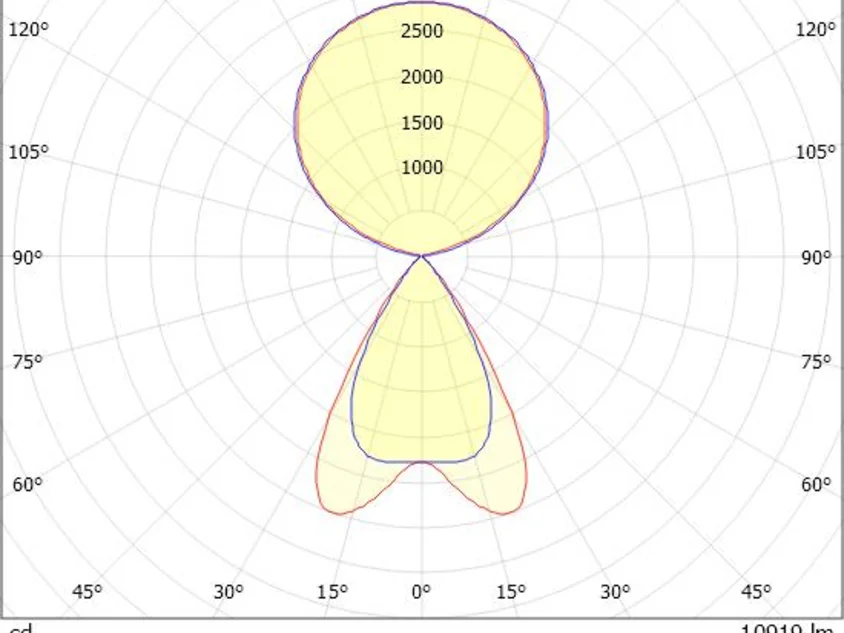 LENS SHORT QUAD F