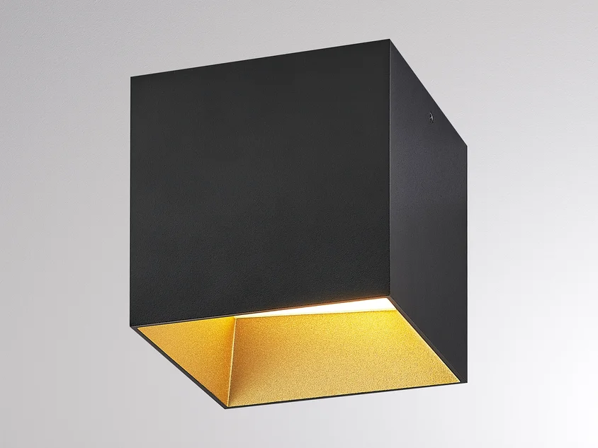 POLUS SD