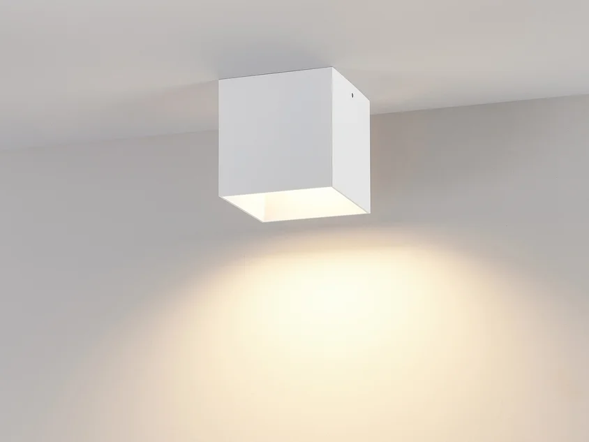 POLUS SD