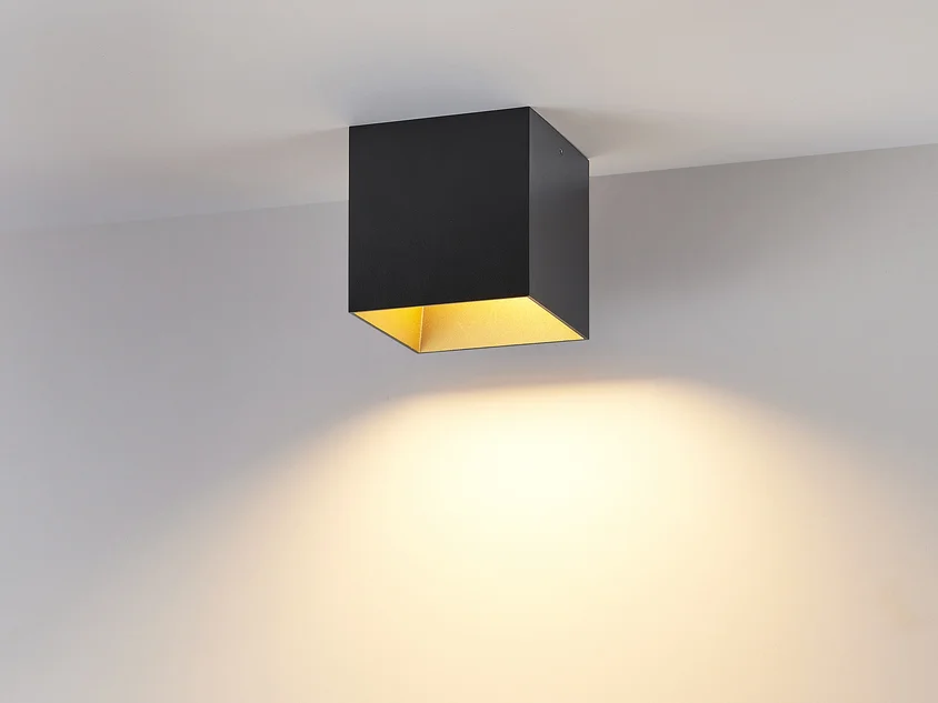 POLUS SD