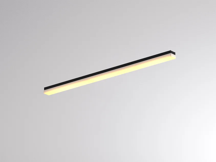 CARA XL